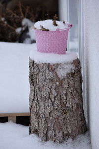 Close-up of ice cream in snow