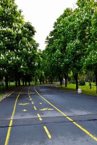 Road amidst trees against clear sky