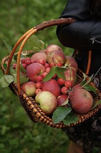 Close-up of strawberries in basket