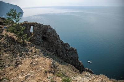 High angle view of bird on rock by sea