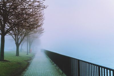 Walkway amidst trees against clear sky