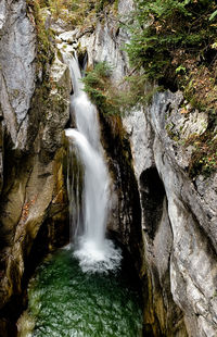 Scenic view of waterfall in forest