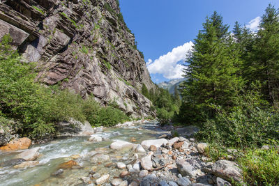 River flowing through rocks in forest against sky