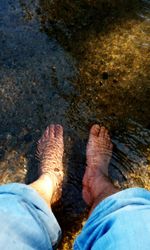 Low section of woman standing in water