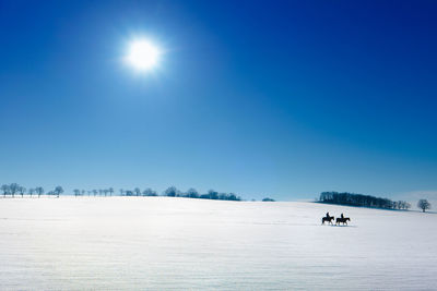 Scenic view of snow covered landscape against blue sky