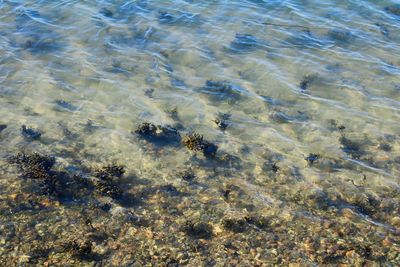 Full frame shot of water surface