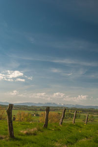 Scenic view of field against sky