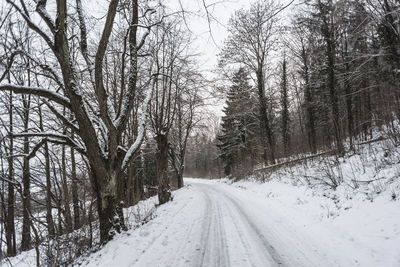 Snow covered road amidst trees during winter