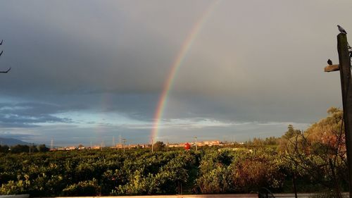 Scenic view of rainbow against sky