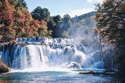 View of waterfall in forest