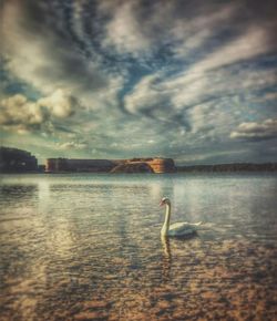 Scenic view of lake against cloudy sky