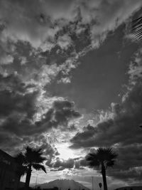 Low angle view of silhouette trees against sky