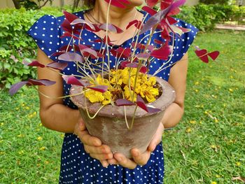 Midsection of woman holding yellow flower in field