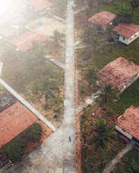 High angle view of trees and buildings