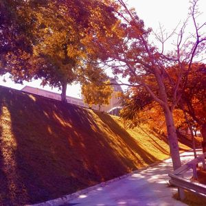 Road amidst trees against sky during autumn
