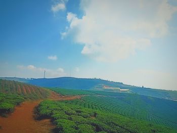 Scenic view of agricultural field against sky