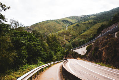 Road and path surrounded by forest and vegetation against blue sky