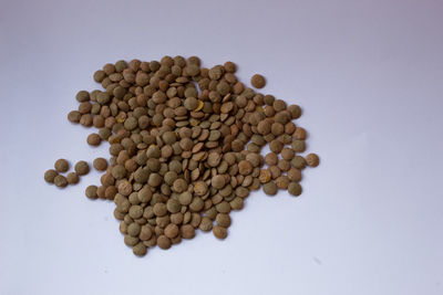 High angle view of cookies against white background