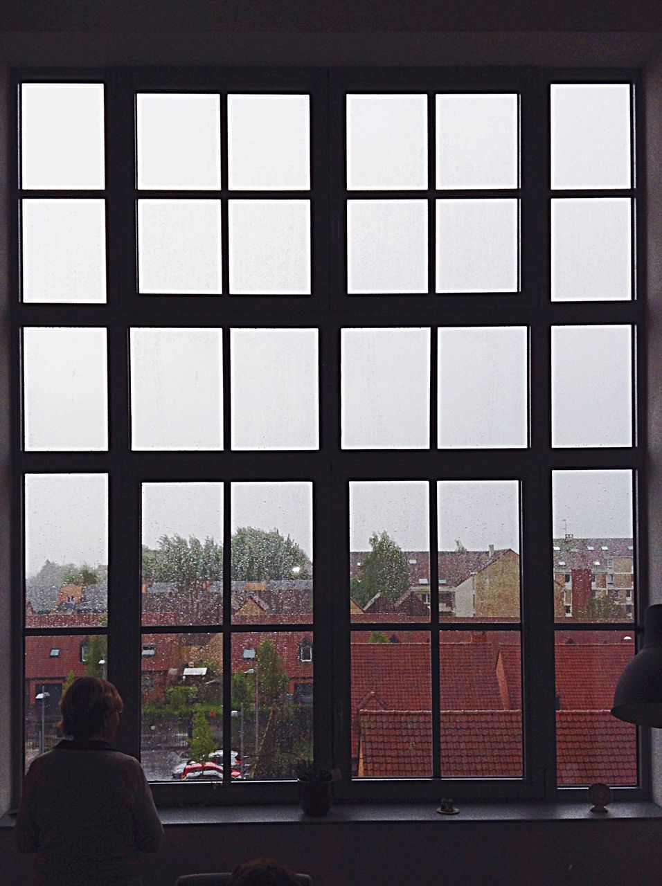 window, indoors, glass - material, transparent, glass, looking through window, built structure, architecture, men, day, tree, building exterior, city, silhouette, sky, lifestyles, house, person