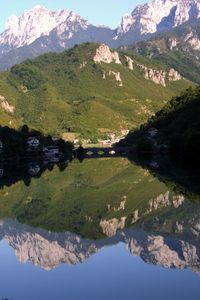 Reflection of trees in lake