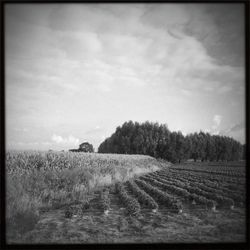 Scenic view of field against sky