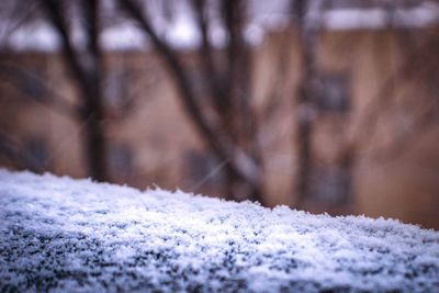 Close-up of frozen frost