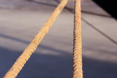 Close-up of rope