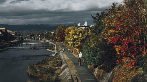 Trees and plants in city against sky during autumn