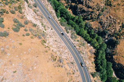 High angle view of road amidst trees on field