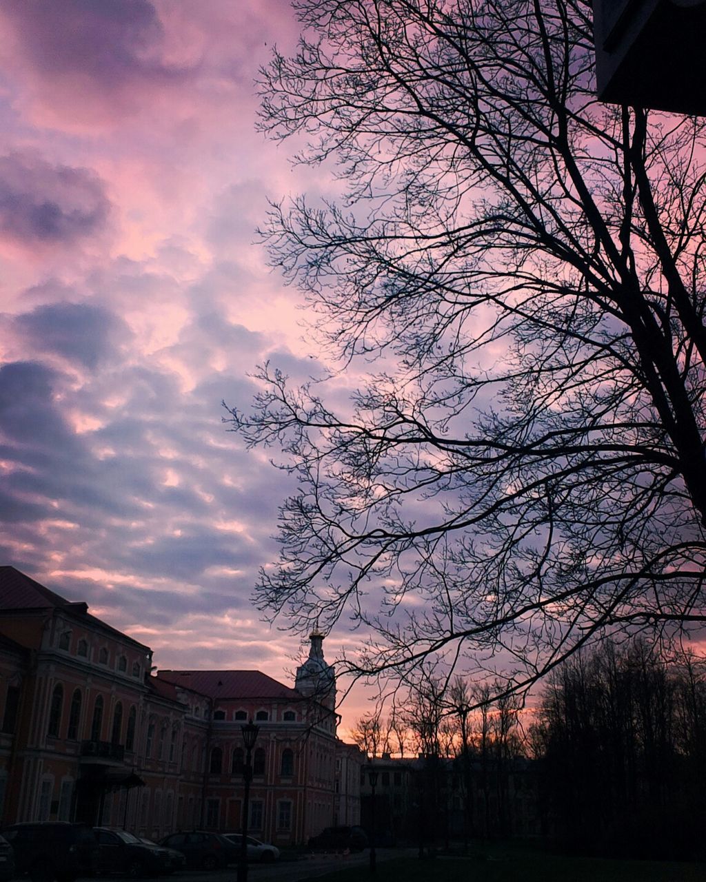 building exterior, architecture, built structure, tree, bare tree, sunset, sky, silhouette, branch, cloud - sky, city, house, residential structure, low angle view, residential building, building, dusk, outdoors, cloud, orange color