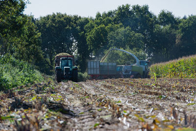 Agricultural machinery spraying grains at farm