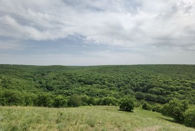 Scenic view of field against sky