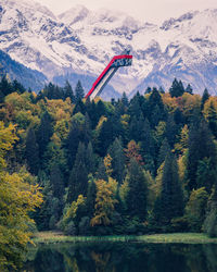 High angle view of trees on mountain during autumn