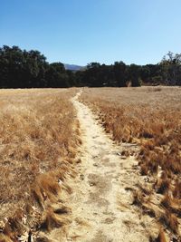 Scenic view of field against clear sky at caspers wilderness park