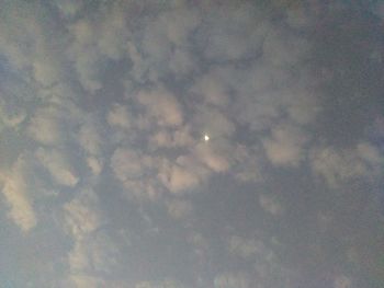 View of trees against sky