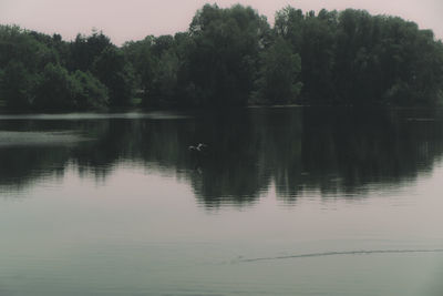 Scenic view of lake