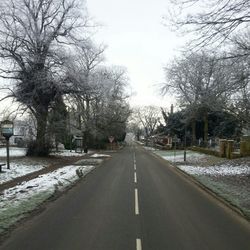 Snow covered road along bare trees