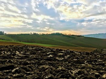 Scenic view of field against sky during sunset