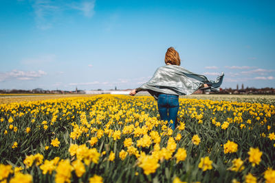 Rear view of woman with yellow narcissus flowers on field