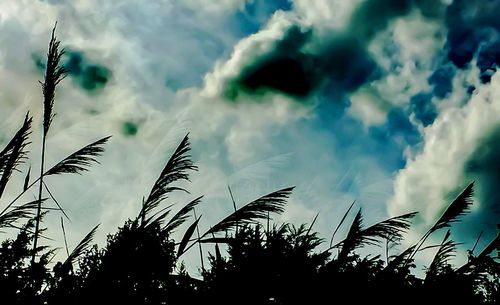 Low angle view of silhouette trees against cloudy sky