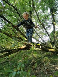 Full length of boy in forest