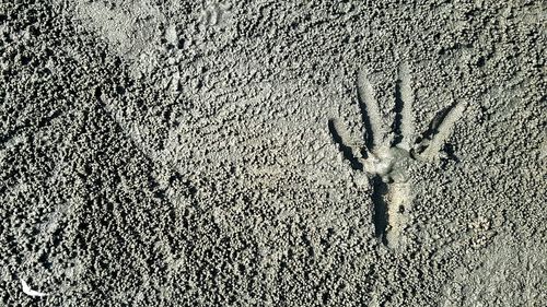 Full frame shot of sand