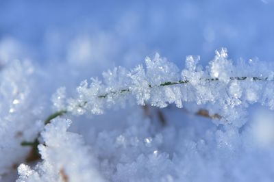 Close-up of ice crystals