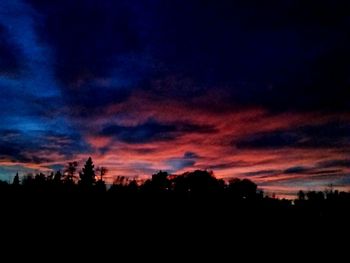 Silhouette of trees at sunset