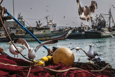 High angle view of boats in harbor