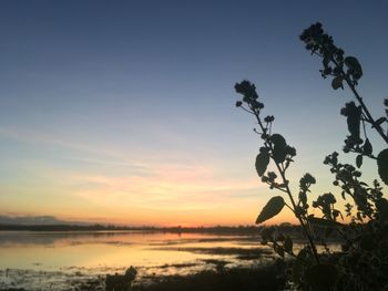 Scenic view of silhouette trees against sky during sunset