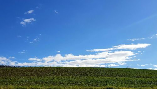 Scenic view of agricultural field against blue sky