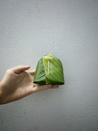 Close-up of hand holding leaf against wall