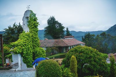 Plants and trees by building against sky