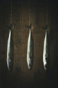 Dead fish hanging on wood